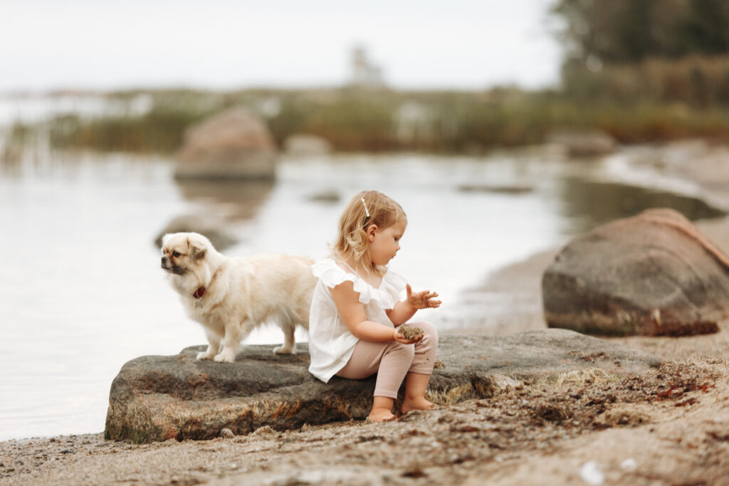 perefotograaf Tallinnas perepildid pere fotosessioon peresessioon family photoshoot Tallinn